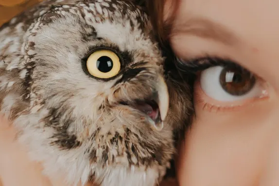 Casino MR Fortune Supporto